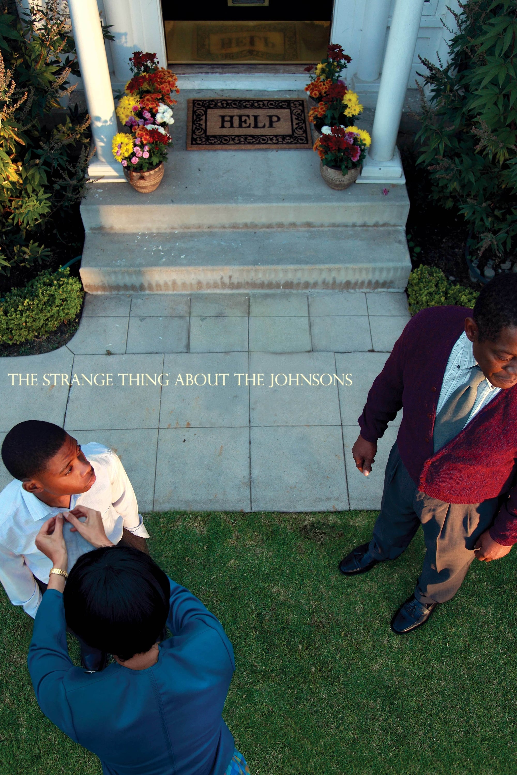The Strange Thing About the Johnsons (2011) [43209] (A1766929689) [[Movies]] --Plex--